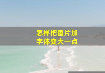 怎样把图片加字体变大一点