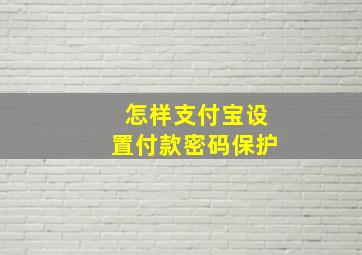 怎样支付宝设置付款密码保护