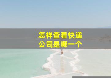 怎样查看快递公司是哪一个