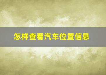 怎样查看汽车位置信息