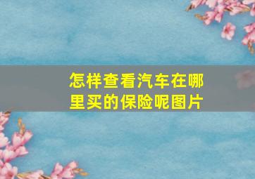 怎样查看汽车在哪里买的保险呢图片