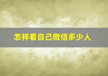 怎样看自己微信多少人