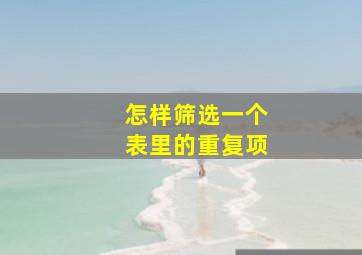 怎样筛选一个表里的重复项