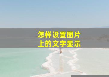 怎样设置图片上的文字显示