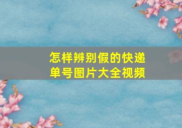 怎样辨别假的快递单号图片大全视频