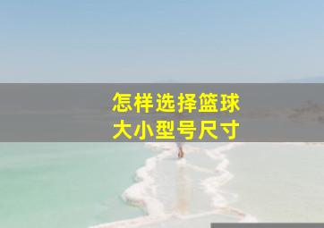 怎样选择篮球大小型号尺寸