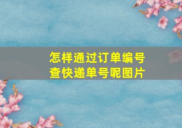 怎样通过订单编号查快递单号呢图片