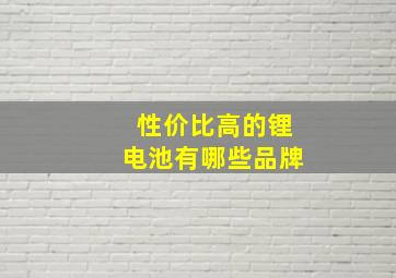 性价比高的锂电池有哪些品牌