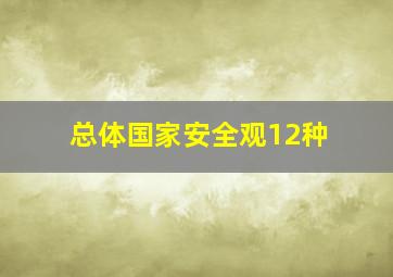 总体国家安全观12种