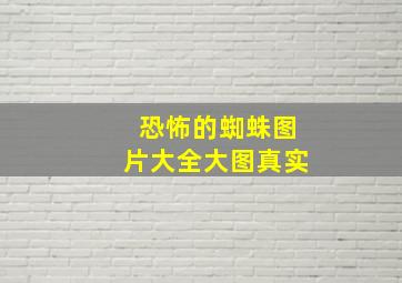 恐怖的蜘蛛图片大全大图真实