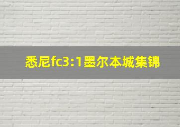 悉尼fc3:1墨尔本城集锦