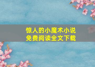 惊人的小魔术小说免费阅读全文下载