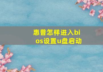 惠普怎样进入bios设置u盘启动