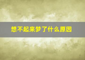 想不起来梦了什么原因