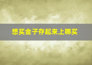 想买金子存起来上哪买