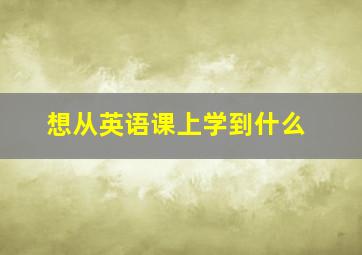 想从英语课上学到什么