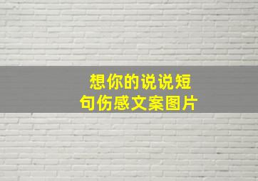 想你的说说短句伤感文案图片