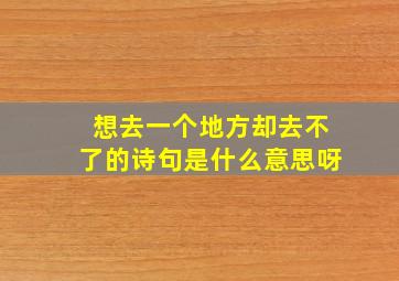 想去一个地方却去不了的诗句是什么意思呀