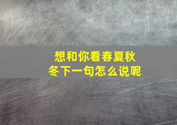 想和你看春夏秋冬下一句怎么说呢