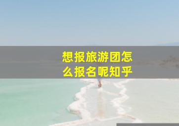 想报旅游团怎么报名呢知乎