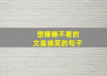 想睡睡不着的文案搞笑的句子