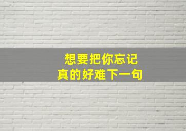 想要把你忘记真的好难下一句