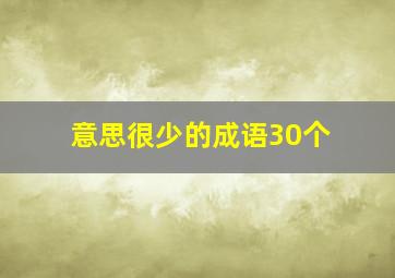 意思很少的成语30个