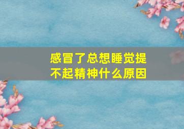 感冒了总想睡觉提不起精神什么原因