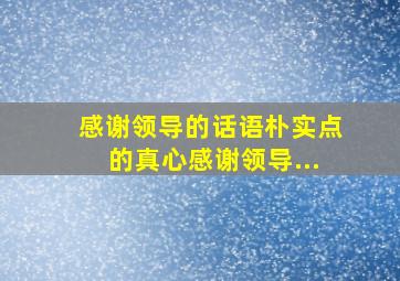 感谢领导的话语朴实点的真心感谢领导...