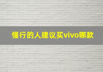 懂行的人建议买vivo哪款