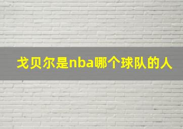 戈贝尔是nba哪个球队的人