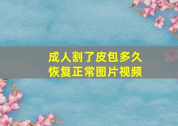 成人割了皮包多久恢复正常图片视频