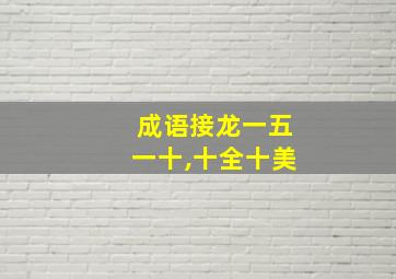 成语接龙一五一十,十全十美