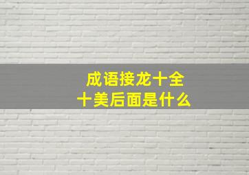 成语接龙十全十美后面是什么