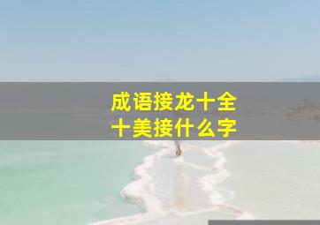 成语接龙十全十美接什么字