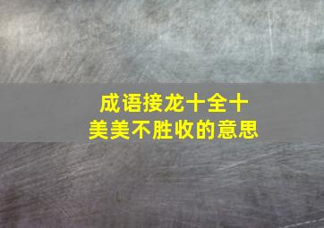 成语接龙十全十美美不胜收的意思