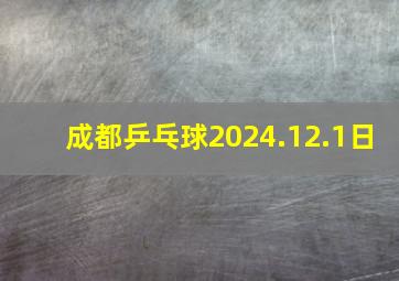 成都乒乓球2024.12.1日