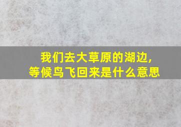 我们去大草原的湖边,等候鸟飞回来是什么意思