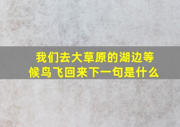 我们去大草原的湖边等候鸟飞回来下一句是什么