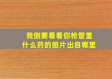 我倒要看看你枪管里什么药的图片出自哪里