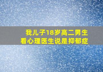 我儿子18岁高二男生看心理医生说是抑郁症