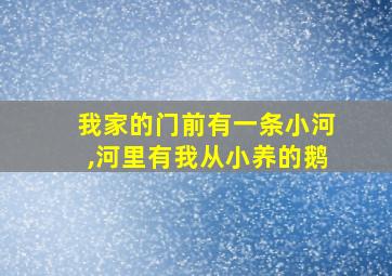 我家的门前有一条小河,河里有我从小养的鹅