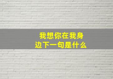 我想你在我身边下一句是什么