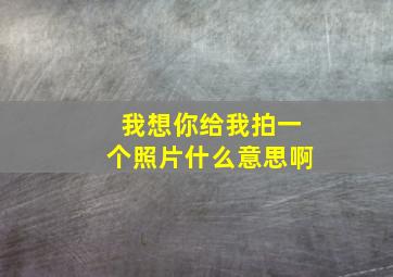 我想你给我拍一个照片什么意思啊