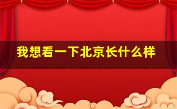 我想看一下北京长什么样