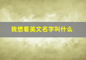 我想看英文名字叫什么