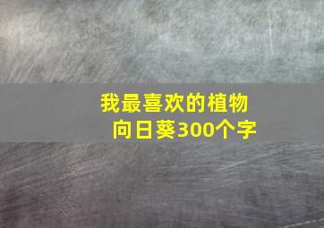 我最喜欢的植物向日葵300个字