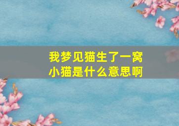 我梦见猫生了一窝小猫是什么意思啊