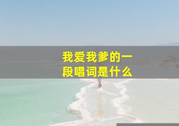 我爱我爹的一段唱词是什么