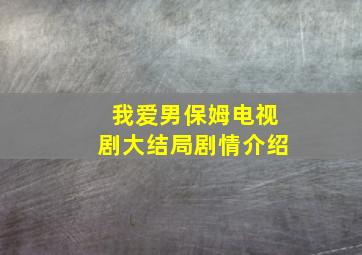 我爱男保姆电视剧大结局剧情介绍